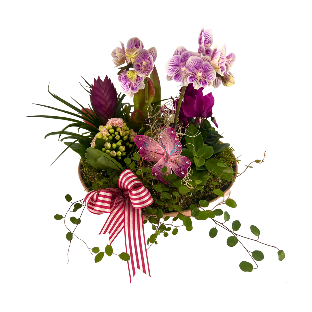 Blomsterduet i Lyserød og Lilla