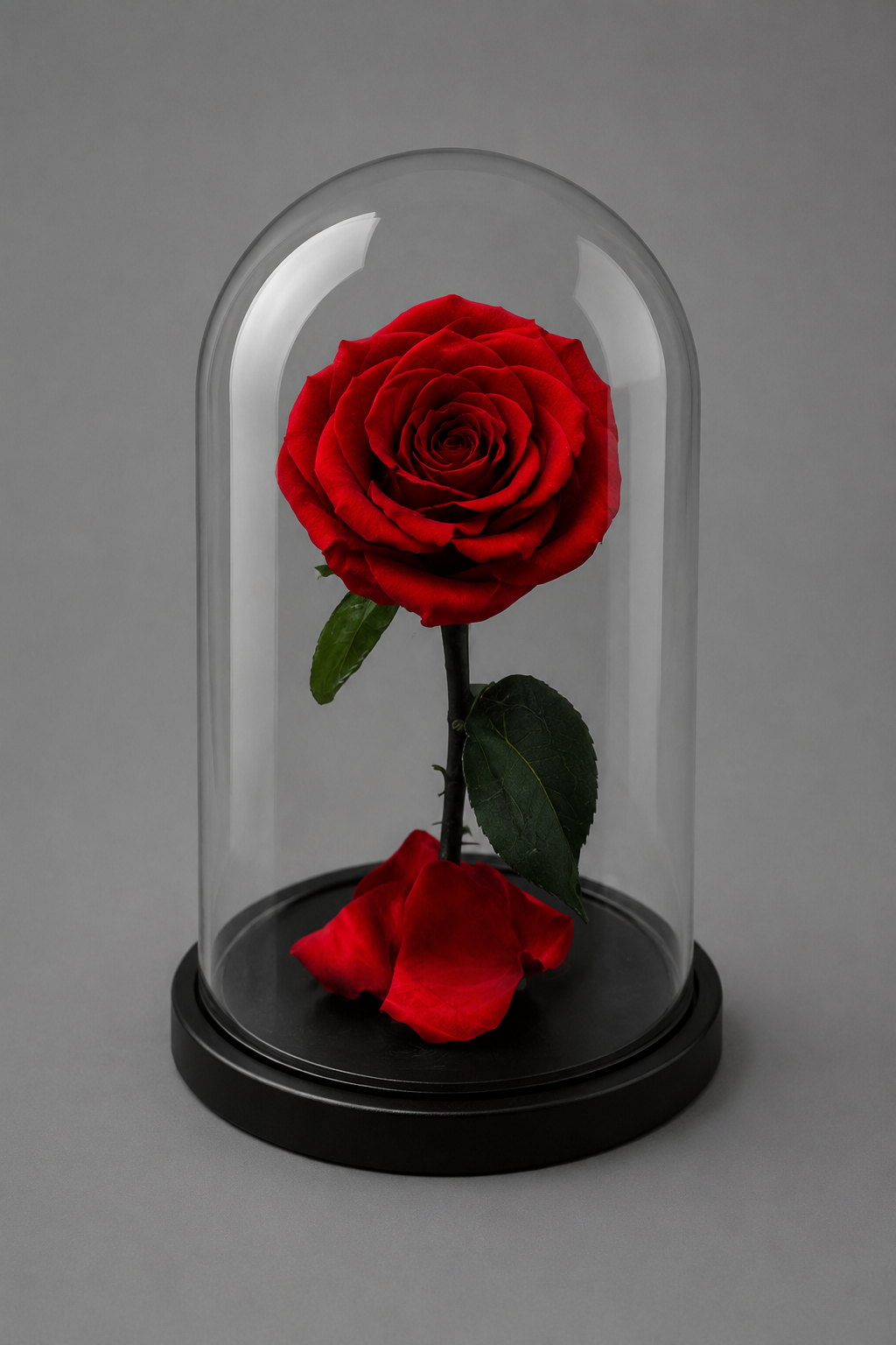 Evigheds Rose-Rød