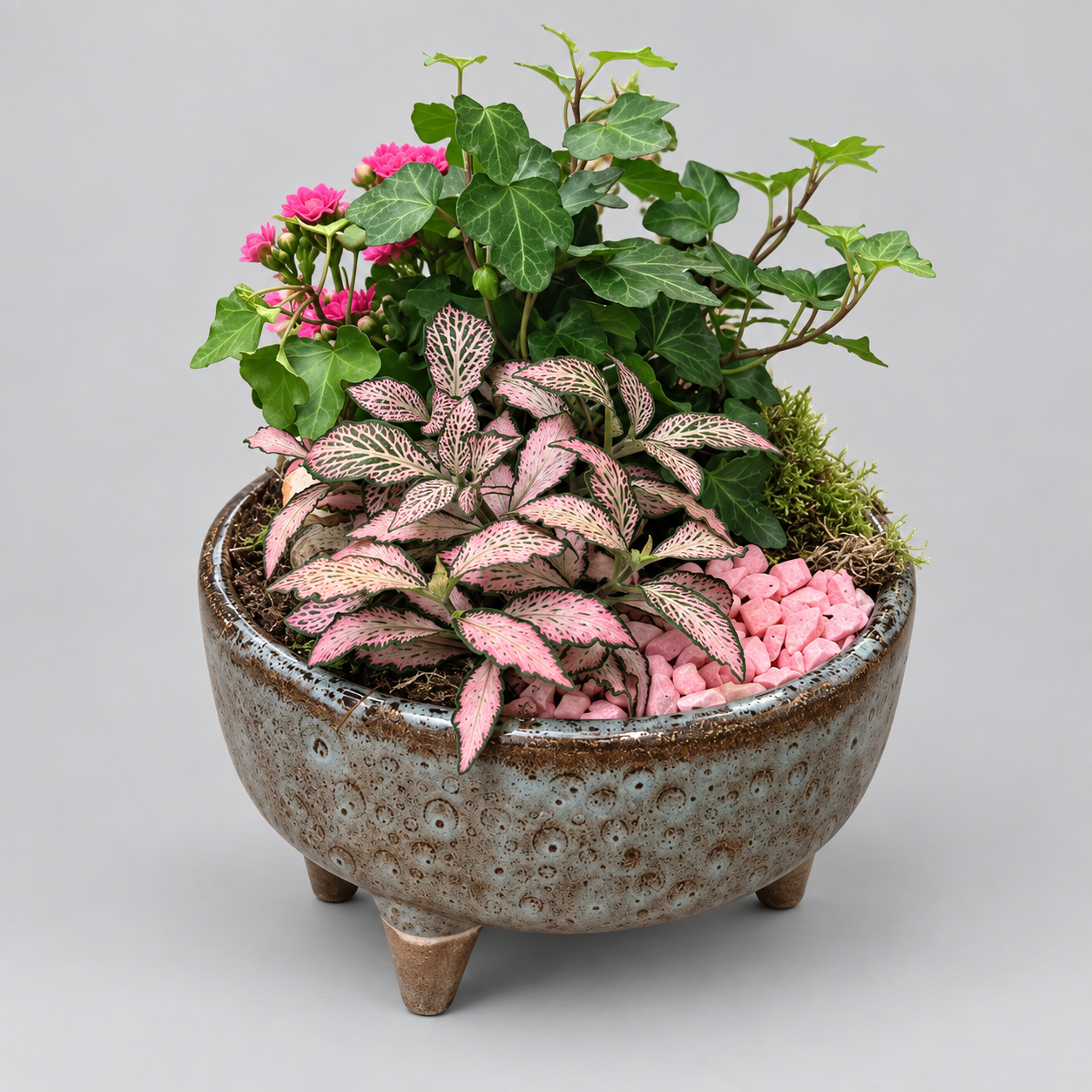 Indendørs sammenplantning