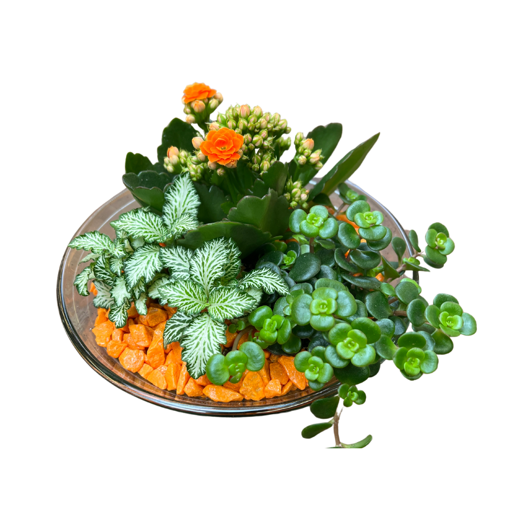 Sammenplantning INDENDØRS