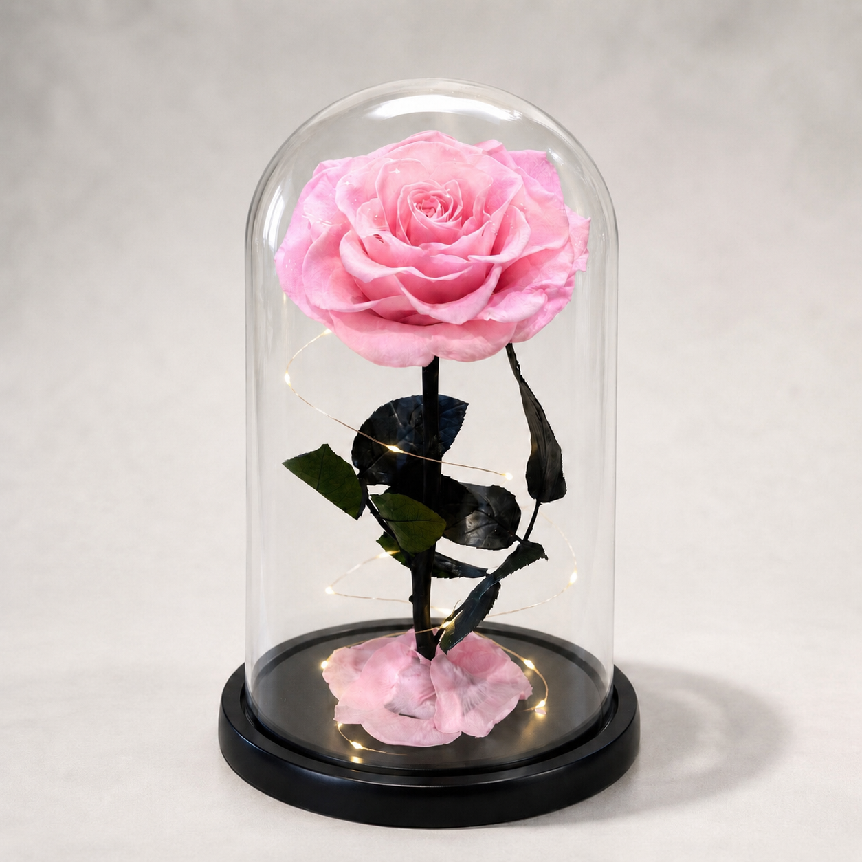Lysende Evigheds Rose-Lyserøde