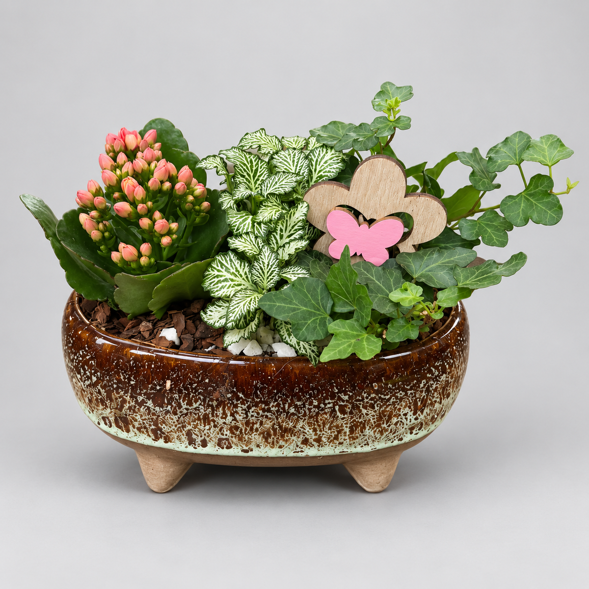 Indendørs sammenplantning