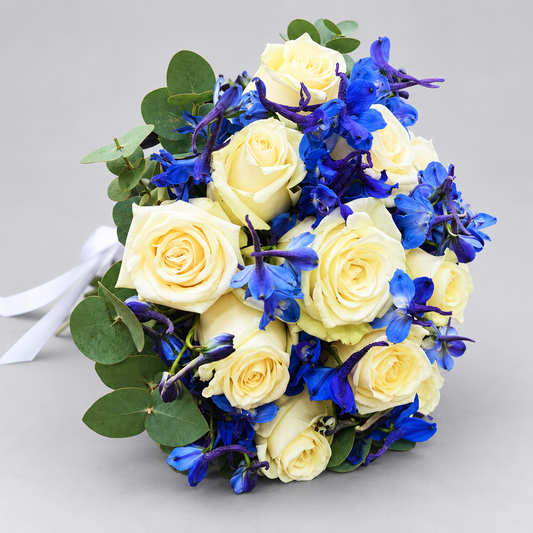 Himlens Elegance