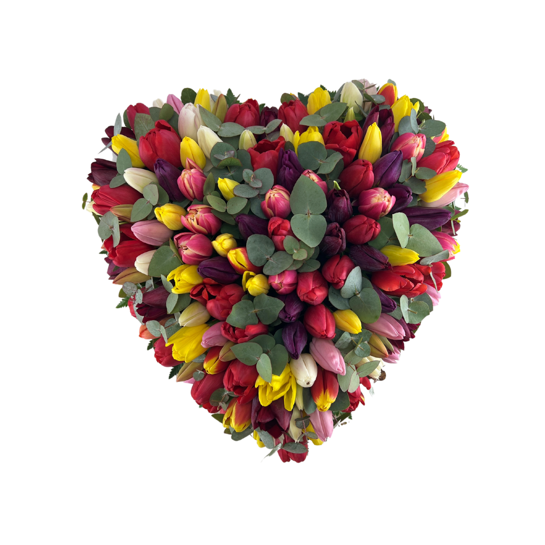 Mix harmoni med tulipaner